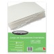 SEPARADOR WILSON JONES P0500 TAMAÑO CARTA CON 8 DIVISIONES DE PAPEL CON CEJAS TRANSPARENTES 1 JUEGO - Envío Gratuito