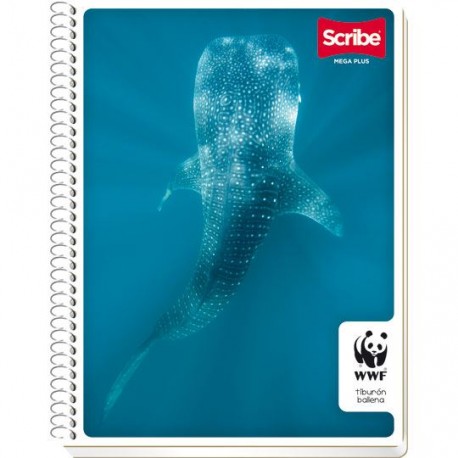 CUADERNO PROFESIONAL RAYA SCRIBE DE 100 HOJAS PASTA SEMI RIGIDA TIPO METALICO 1 PZA - Envío Gratuito