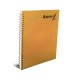 CUADERNO PROFESIONAL CUADRO GRANDE RAYTER DE 100 HOJAS PASTA PAPEL SEMIKRAFT TIPO METALICO 1 PIEZA