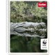 CUADERNO PROFESIONAL CUADRO GRANDE SCRIBE S7513 DE 100 HOJAS PASTA SEMI RIGIDA TIPO METALICO 1 PIEZA