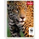CUADERNO PROFESIONAL CUADRO CHICO SCRIBE DE 100 HOJAS PASTA SEMI RIGIDA TIPO METALICO 1 PIEZA