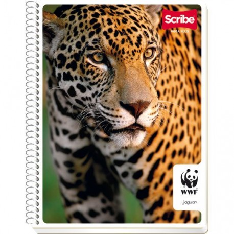 CUADERNO PROFESIONAL CUADRO CHICO SCRIBE DE 100 HOJAS PASTA SEMI RIGIDA TIPO METALICO 1 PIEZA - Envío Gratuito