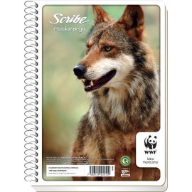 CUADERNO FORMA FRANCESA CUADRO CHICO SCRIBE DE 100 HOJAS PASTA SEMI RIGIDA TIPO ESPIRAL CONTINUO 1 PIEZA - Envío Gratuito