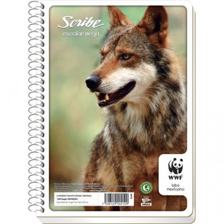 CUADERNO FORMA FRANCESA CUADRO CHICO SCRIBE DE 100 HOJAS PASTA SEMI RIGIDA TIPO ESPIRAL CONTINUO 1 PIEZA - Envío Gratuito