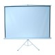 PANTALLA PARA PROYECCION MULTIMEDIA SCREENS MST-244 COLOR BLANCO MATE DE 96 PULGADAS - Envío Gratuito