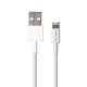 CARGADOR CABLE DUAL CARGADOR PARA CELULAR GINGA GI16CAB01DUAL - Envío Gratuito