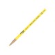 MARCADOR DE CERA SHARPIE PEEL-OFF COLOR AMARILLO 1 PIEZA - Envío Gratuito